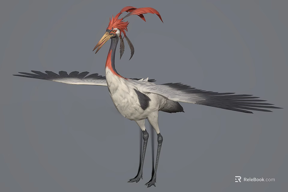 Red Crested Flying Bird With Black And White Feathers Outstretched Wings And Long Slender Legs 3d model 