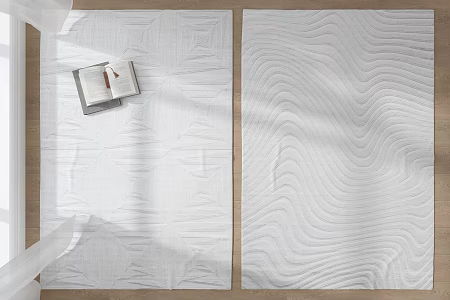 Modern Square Carpet Fabric Carpet 3d model