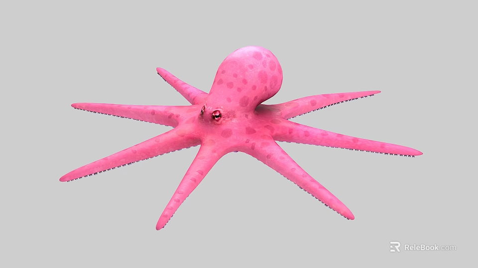 Vibrant Pink Octopus With Spotted Body And Long Flexible Tentacles In Marine Environment 3d model 