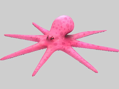 Vibrant Pink Octopus With Spotted Body And Long Flexible Tentacles In Marine Environment 3d model