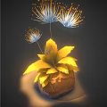 Vibrant Flower Plant With Yellow Leaves And White Dandelion-like Flowers In Brown Pot