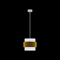 Modern Glass Chandelier With Brass Accent And Cylindrical Design For Interior