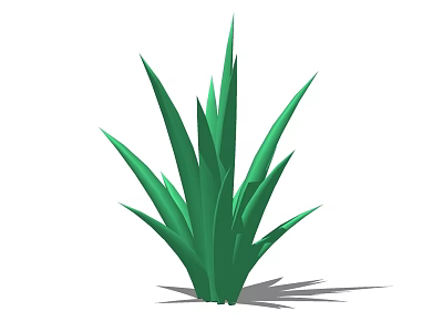 Green Grass Plant With Slender Leaves And Natural Shadow On White Background 3d model