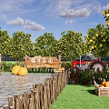 Scenic Wall With Orange Paradise Sign Surrounded By Fruit Trees And Oranges