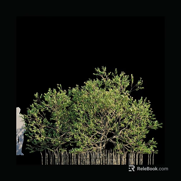 Arbor Featuring Lush Green Foliage and Sturdy Trunk in Natural Habitat 3d model 
