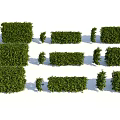 Well Trimmed Shrubs in Various Shapes with Lush Green Foliage for Garden Landscape Design