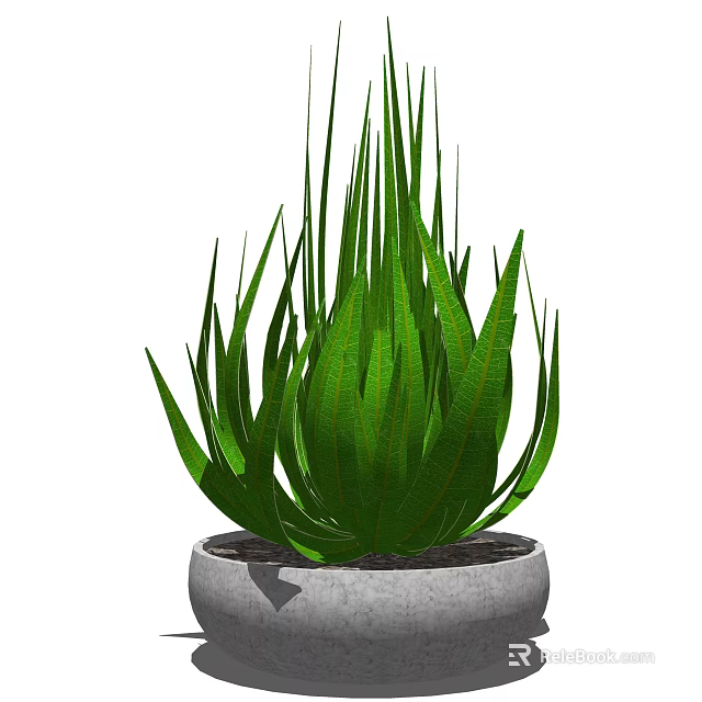 Decorative Green Succulent Bonsai Potted Plant with Long Leaves in Gray Pot 3d model 