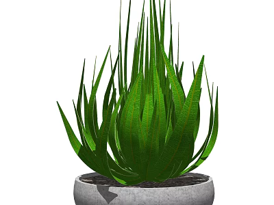 Decorative Green Succulent Bonsai Potted Plant with Long Leaves in Gray Pot 3d model