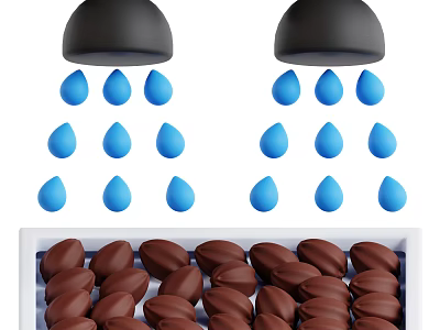 Brown Crops Being Irrigated with Sprinklers and Water Drops on White Tray 3d model