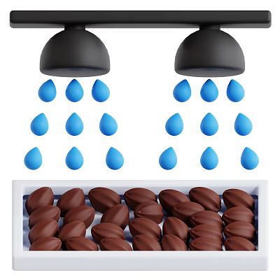 Brown Crops Being Irrigated with Sprinklers and Water Drops on White Tray 3d model