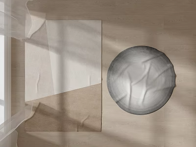 Square Rug On Wooden Floor With Natural Light And Minimalist Design 3d model