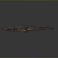 Shiny Red Crocodile Model with Yellow Eyes and Reflection on Gray Background Surface 3d model