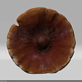 Fresh Organic Ganoderma Mushroom With Vibrant Orange Brown Round Edible Cap