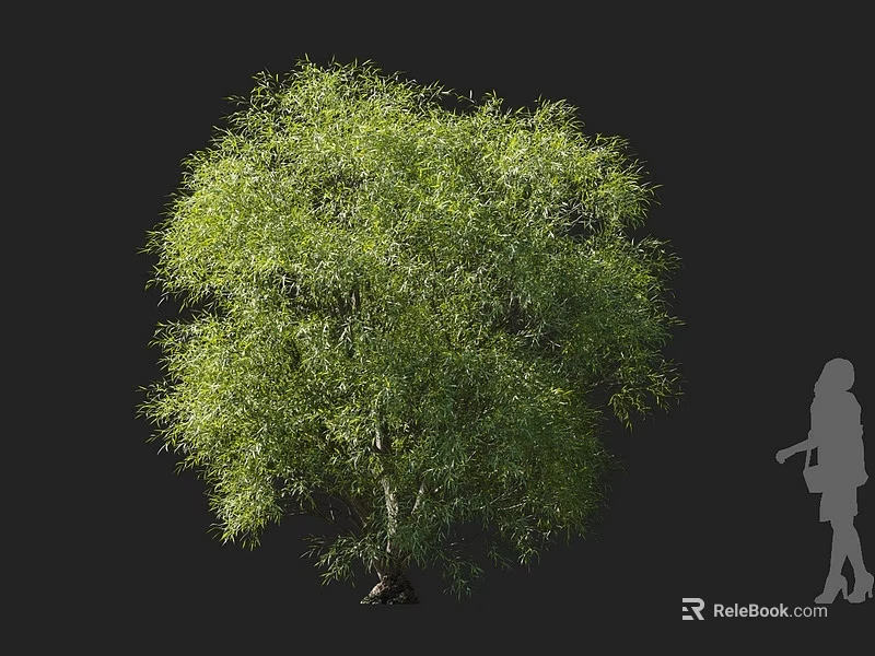 Lush Green Arbor With Dense Leafy Canopy And Vibrant Foliage In Natural Environment 3d model 