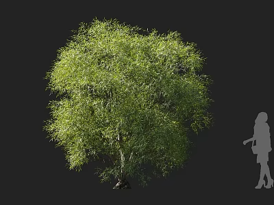 Lush Green Arbor With Dense Leafy Canopy And Vibrant Foliage In Natural Environment 3d model