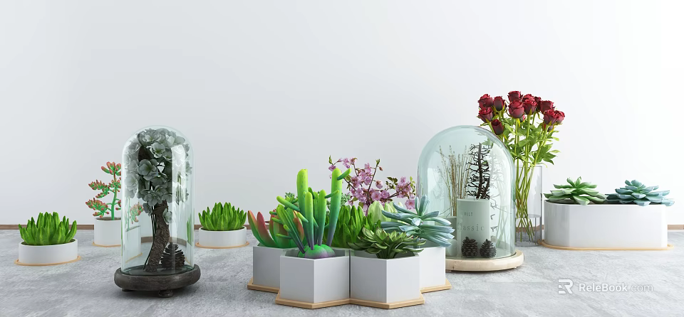 Indoor Bonsai Potted Plants with Glass Cloche Succulents and White Ceramic Pots 3d model 