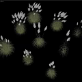 Lush Green Grass Tufts With Delicate White Flowers Arranged On Black Background