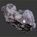 Natural Purple Wood Stone With Porous Surface And Unique Hole Patterns
