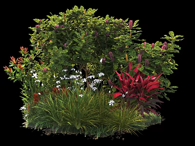 Vibrant Garden Shrubs With Green Foliage Red Leaves And White Flowers 3d model