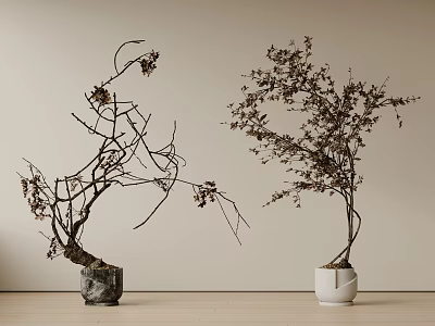 Indoor Bonsai Trees Featuring Shaped Branches In Gray And White Pots On Wooden Floor 3d model