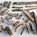 Natural Wood and Stone Materials Collection with Logs Chips Slices and Textures