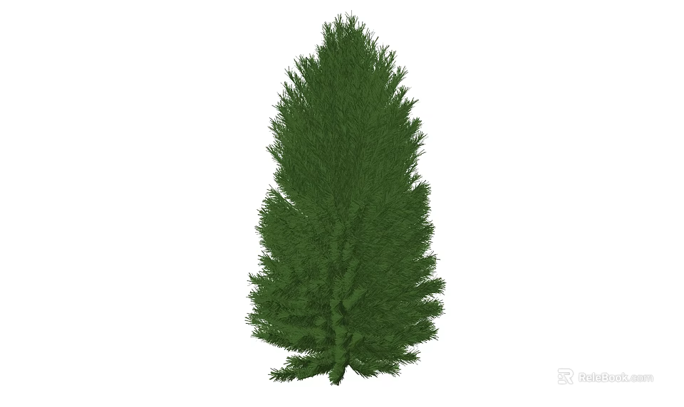 Tall Healthy Evergreen Arbor With Vibrant Green Lush Foliage For Natural Garden 3d model 