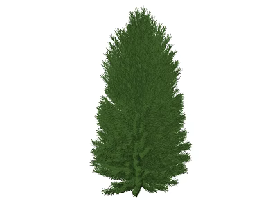 Tall Healthy Evergreen Arbor With Vibrant Green Lush Foliage For Natural Garden 3d model