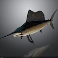 Vibrant Blue And Yellow Sailfish With Large Dorsal Fin And Long Bill In Swimming Pose