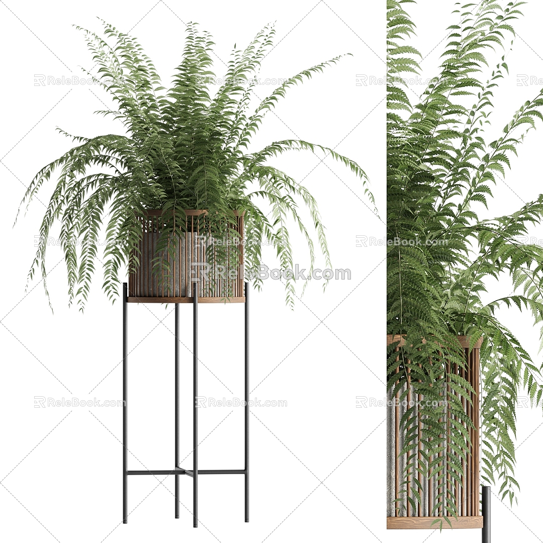 potted plant model