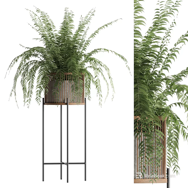 Lush Potted Fern Plant With Green Fronds In Wooden Pot On Black Metal Stand 3d model 
