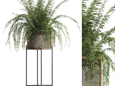 Lush Potted Fern Plant With Green Fronds In Wooden Pot On Black Metal Stand 3d model