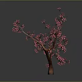 Beautiful Tree With Pink Flowers And Brown Trunk On Gray Background With Reflection