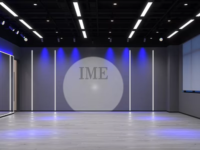 IME Modern Fitness Studio With Blue Lighting Gray Walls And Wooden Floor 3d model