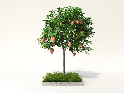 Fruit Bearing Arbor With Lush Green Leaves Thin Trunk Green Grass And Gray Base 3d model