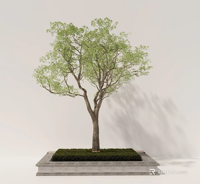 Lush Arbor With Green Leaves And Trunk On Square Base Against Light Wall 3d model 