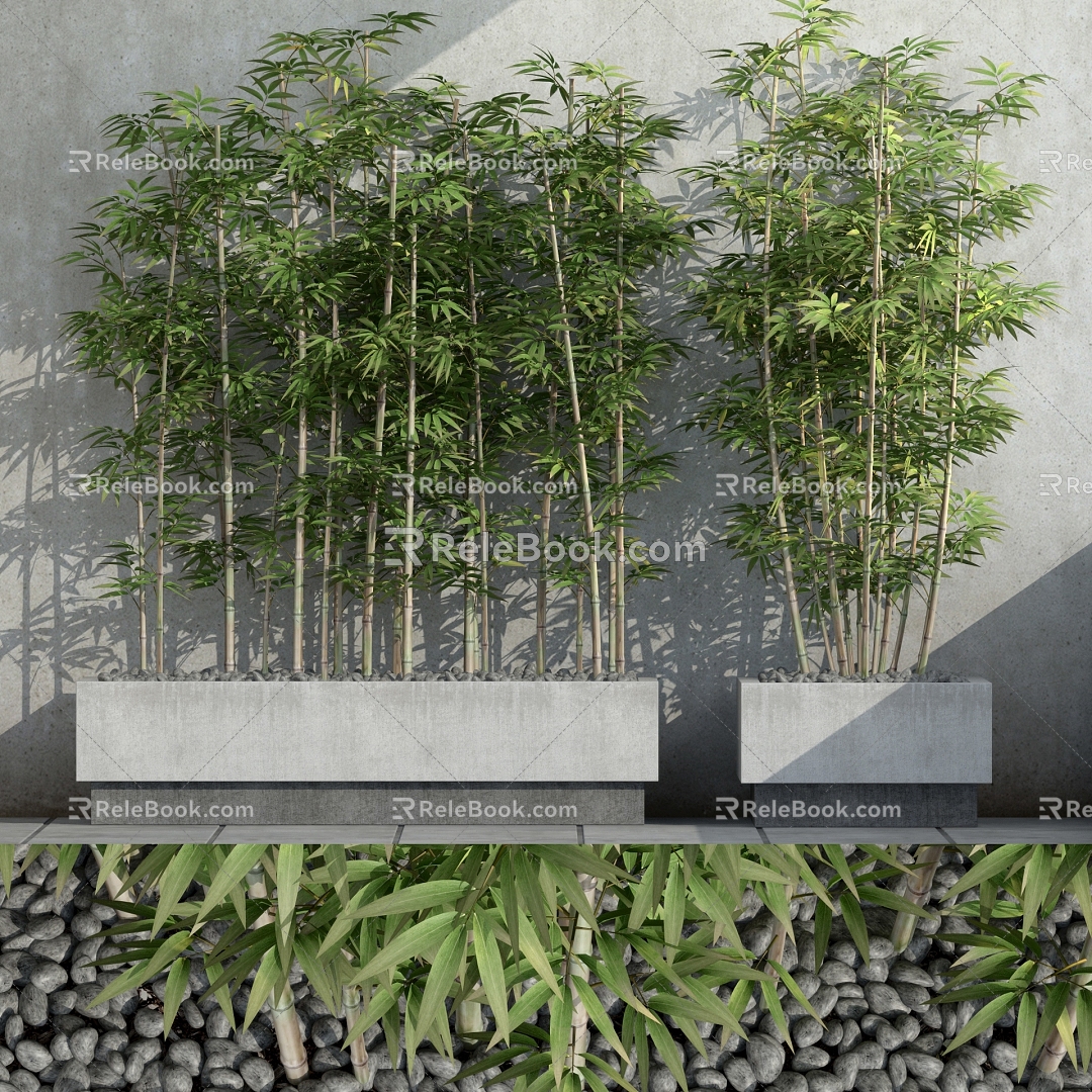 Modern Bamboo Plants model