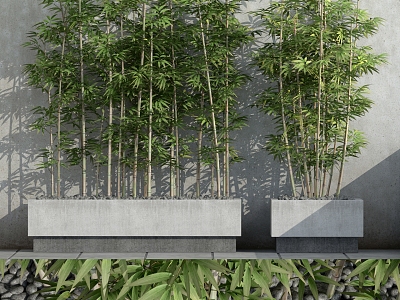 Modern Bamboo Plants model