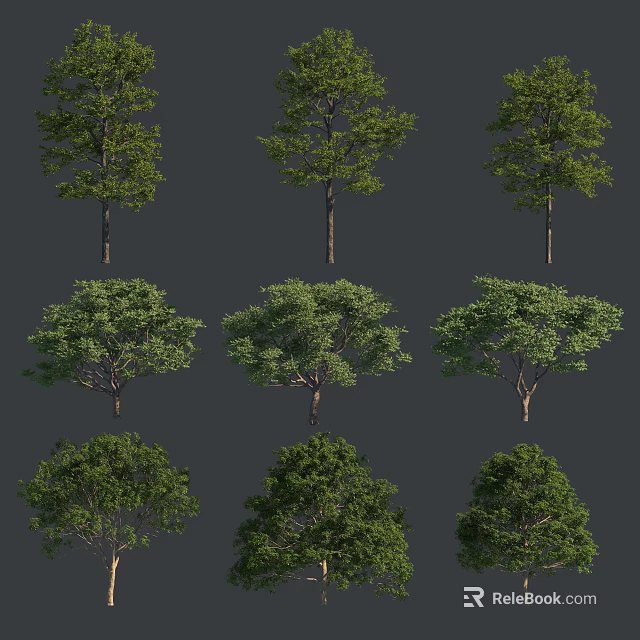 Trees with Lush Green Foliage and Various Shapes for Outdoor Landscape Design 3d model 
