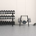 Home Gym Fitness Equipment With Dumbbells Weight Plates Kettlebells Exercise Balls Yoga Mat And Shelves