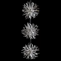 Three Silver Flower Shaped Chandelier Vertically Arranged on Black Background