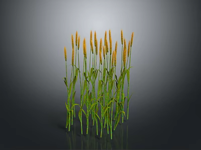 Green Stemmed Plants With Orange Spiky Flowers Against Gray Background 3d model