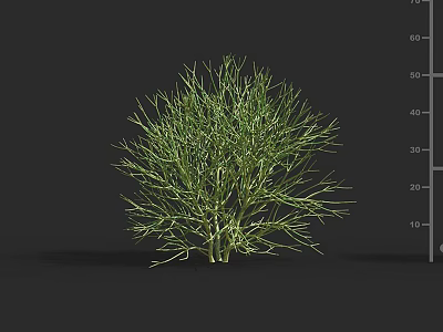 Modern Green Coral Singles Tree Landscape Tree Garden Ornamental Flowers Grass 3d model