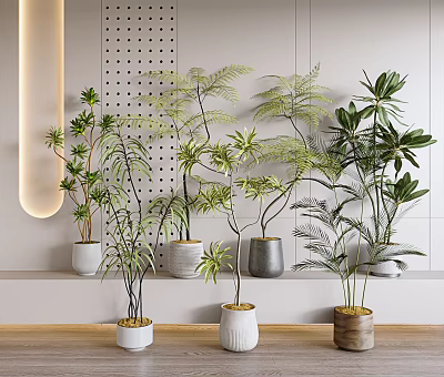 Various Bonsai Potted Plants With Different Leaf Types In White Gray Wooden Pots On Modern Shelf 3d model