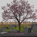Tranquil Garden Decor With Pink Flowering Tree Wooden Fence Stones Moss And Stone Lantern