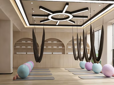 Aerial Yoga Studio Interior With Hammocks Yoga Mats And Exercise Balls 3d model