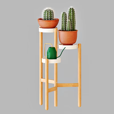 Multi tiered Wooden Plant Stand With Potted Cactus Plants And Green Watering Can 3d model