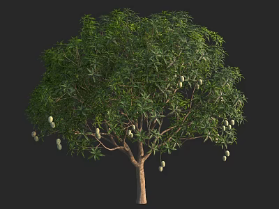 Healthy Tree With Lush Green Leaves And Hanging Ripe Fruits 3d model