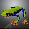 Vibrant Red-eyed Tree Frog With Green Body Blue Legs And Orange Toes