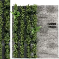 Lush Vertical Green Plant Wall with Mixed Foliage Against Concrete Background
