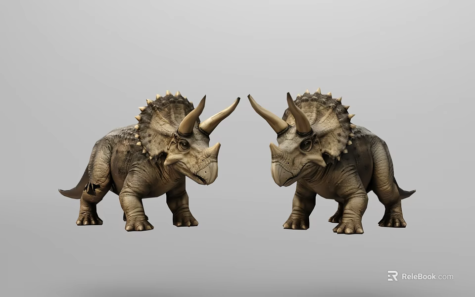 Detailed Realistic Brown Triceratops Dinosaur Models Standing Facing Each Other 3d model 